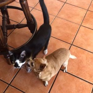 Meet your Posher, Melanie